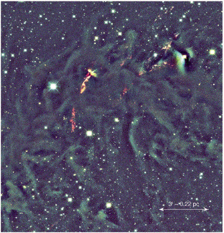 L1448 
Nebula