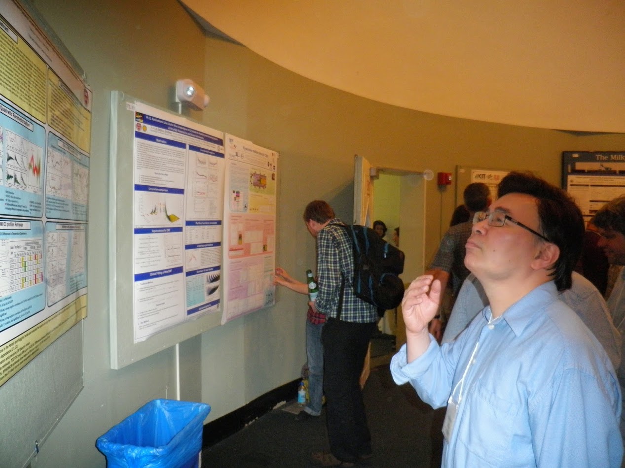 Hoang Dothe ponders the posters