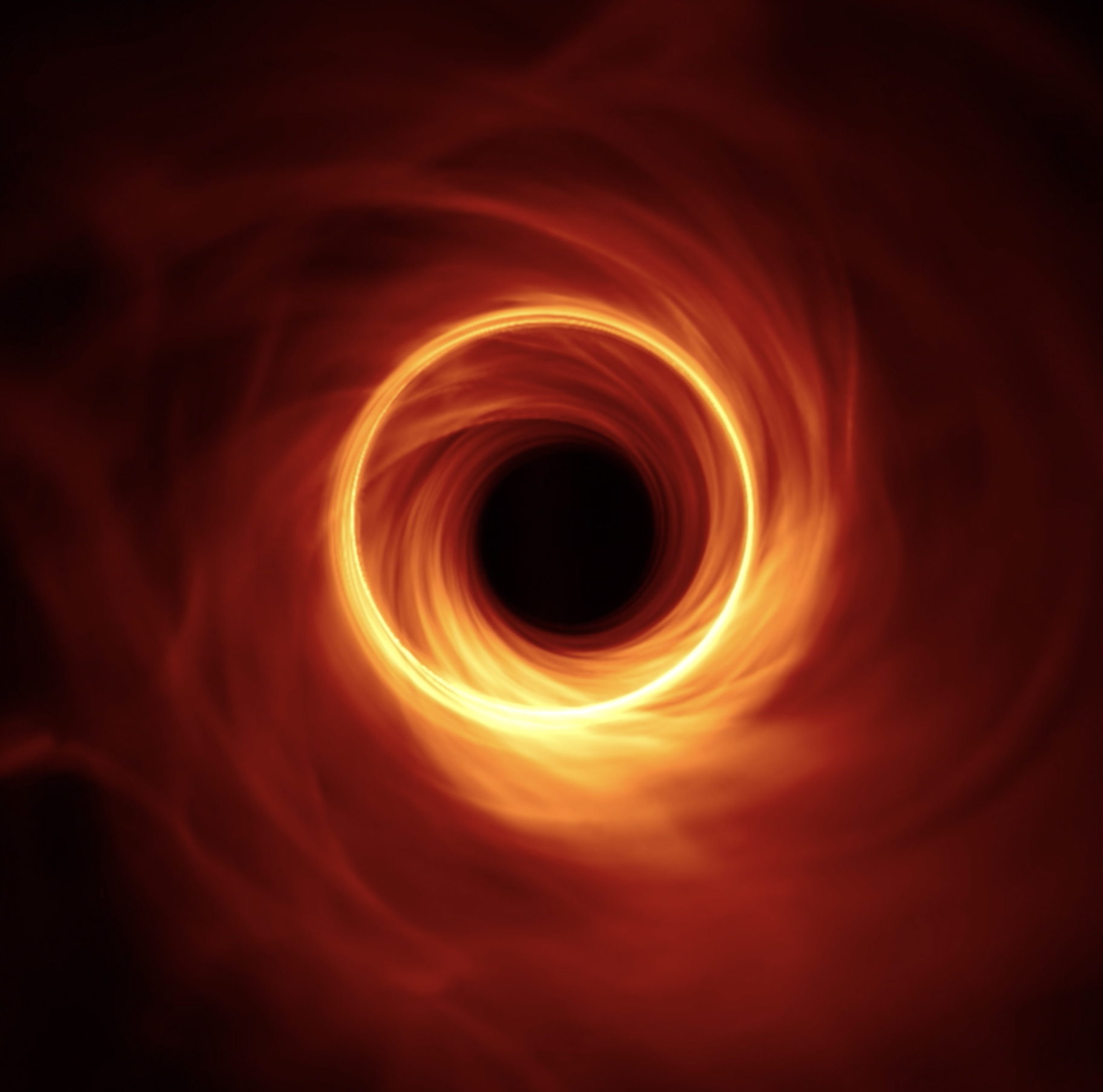 Black holes cast a shadow on the image of bright surrounding material because their strong gravitational field can bend and trap light.