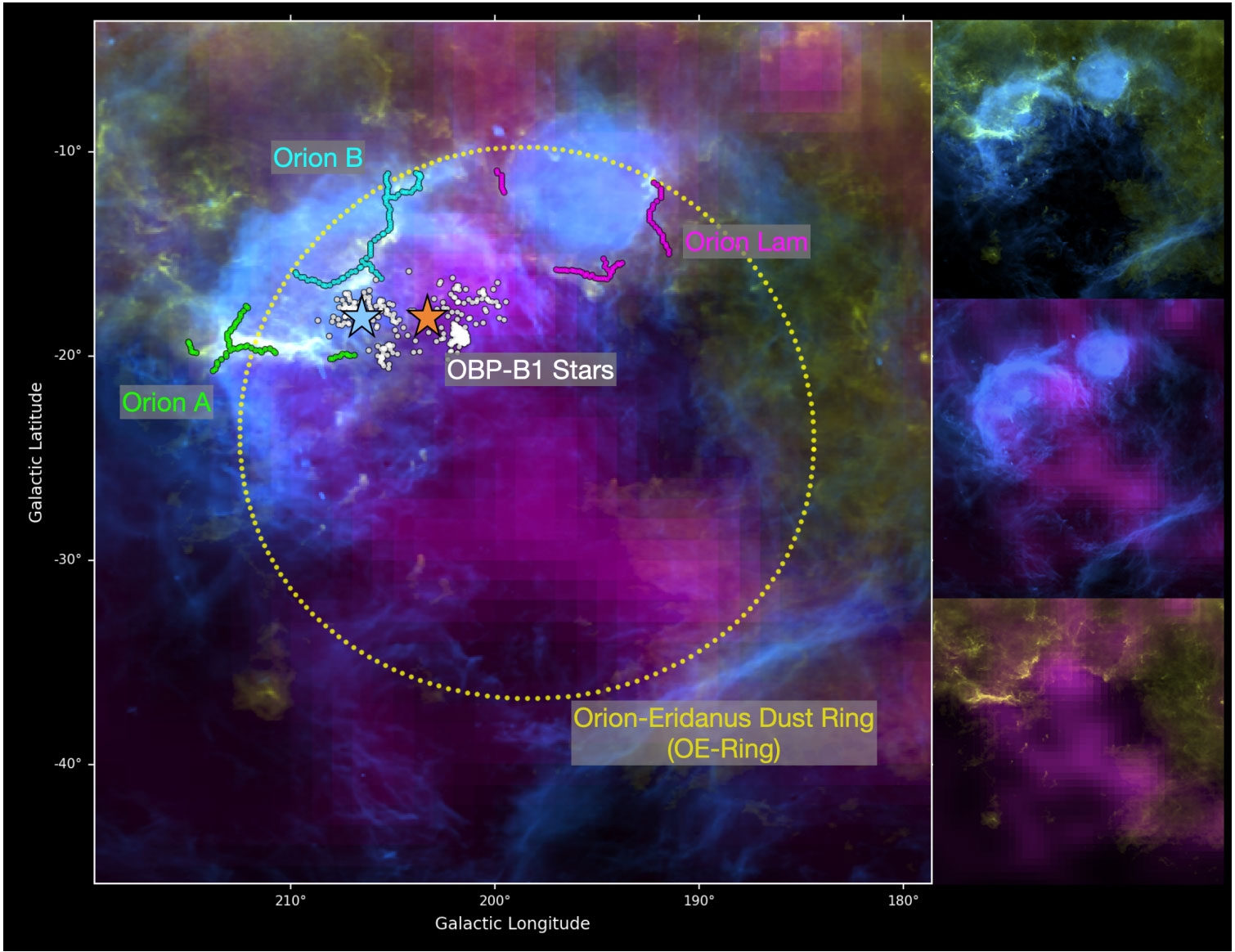 This image shows a 2D view of the Orion complex in different wavelengths of light. Blue corresponds to hot gas, yellow indicates dust, and purple serves as a tracer of recent supernova explosions. The purple arc indicates the rough boundaries of the region containing supernova material that relates to the other structures. The blue star shows the center of a large arc of hot gas, known as Barnard’s Loop (outlined in blue).  A large ring of dust that appears in both 2D and 3D data is shown by the yellow circle. Three major clouds of star-forming gas – Orion A (green), Orion B (cyan), and Orion Lam (purple) – are indicated by the colored lines. Superimposed on the image is a cluster of stars that likely produced supernovae in the last 4 million years (shown in white). This cluster is coherently expanding outwards from a single point, which is shown by the orange star.