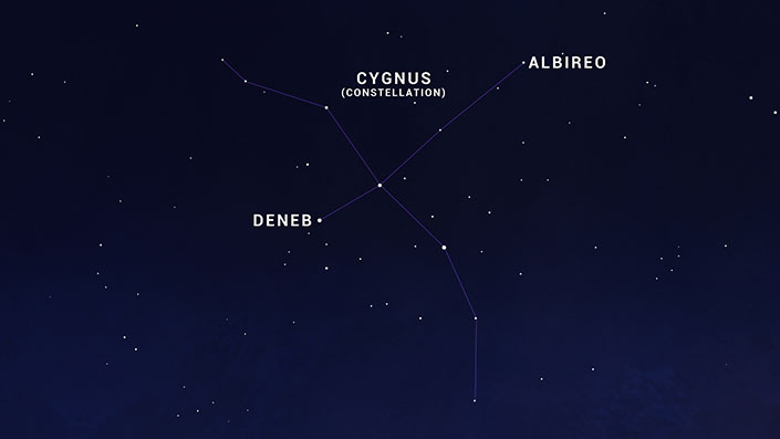 T-shaped Cygnus is easy to spot, thanks to bright star Deneb, which represents the swan's tail. Look for Deneb as the northernmost of the three bright stars that form the Summer Triangle. 