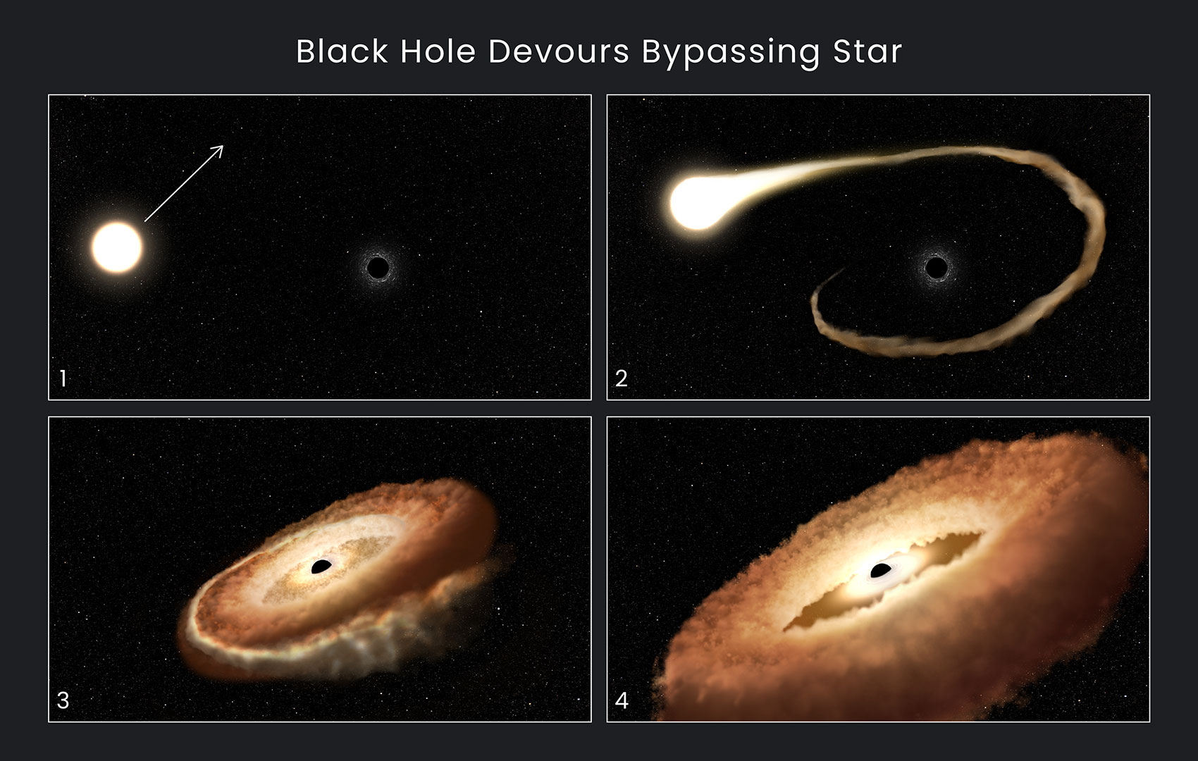 This sequence of artist's illustrations shows how a black hole can devour a bypassing star. 1) A normal star passes near a supermassive black hole in the center of a galaxy. 2) The star's outer gasses are pulled into the black hole's gravitational field. 3) The star is shredded as tidal forces pull it apart. 4) The stellar remnants are pulled into a donut-shaped ring around the black hole, and will eventually fall into the black hole, unleashing a tremendous amount of light and high-energy radiation.