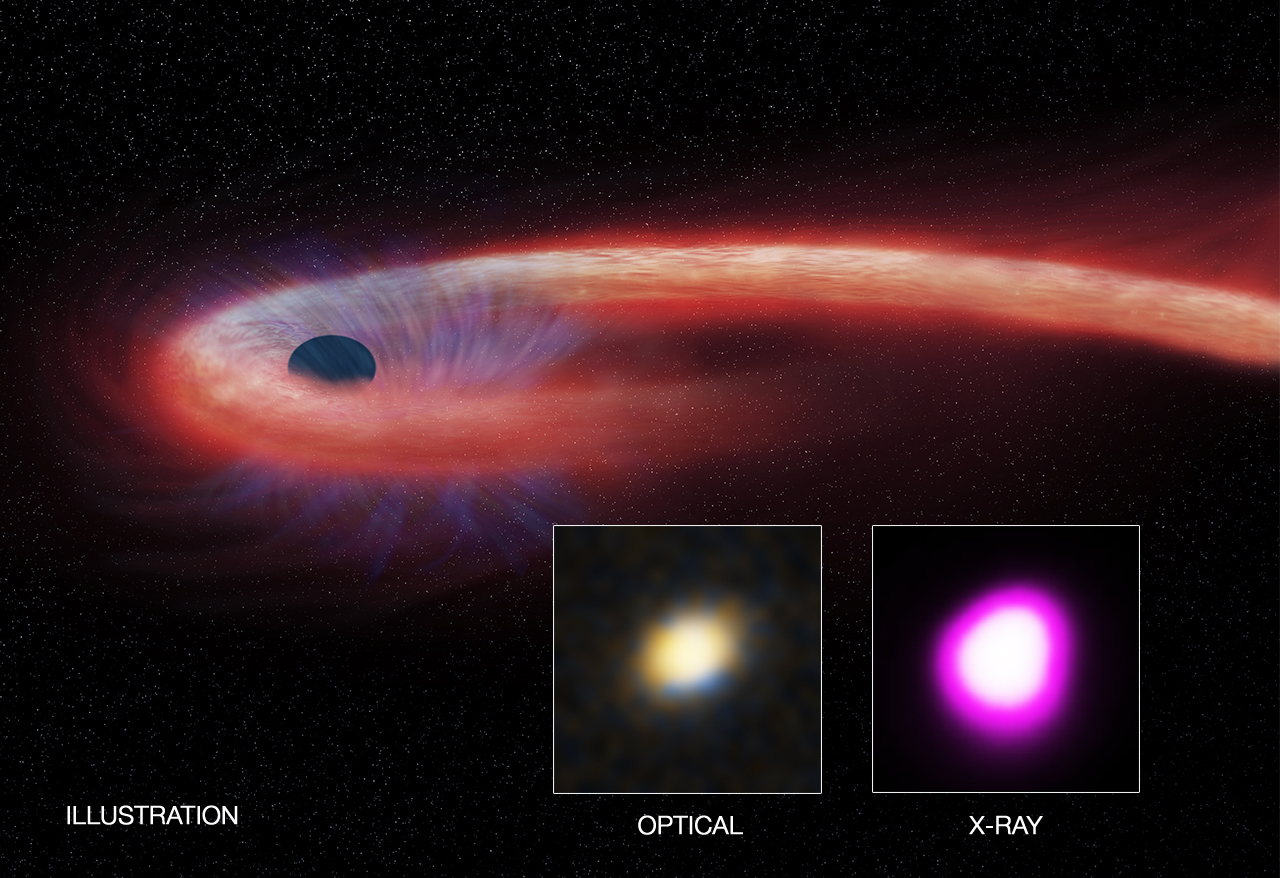 XJ1500+0154: An X-ray source located in a small galaxy about 1.8 billion light years from Earth.  This artists illustration depicts what astronomers call a &quot;tidal disruption event,&quot; or TDE, when an object such as a star wanders too close to a black hole and is destroyed by tidal forces generated from the black hole&#039;s intense gravitational forces. A trio of X-ray telescopes including Chandra witnessed a TDE that has lasted more than a decade, much longer than any previously observed TDE. This implies that the event involved either the most massive star to be completely ripped apart and devoured by a black hole or the first instance where a smaller star was completely ripped apart.