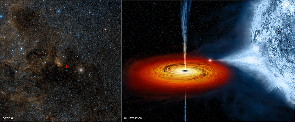 On the left, an optical image from the Digitized Sky Survey shows Cygnus X-1, outlined in a red box. Cygnus X-1 is located near large active regions of star formation in the Milky Way, as seen in this image that spans some 700 light years across. An artist&#039;s illustration on the right depicts what astronomers think is happening within the Cygnus X-1 system. Cygnus X-1 is a so-called stellar-mass black hole, a class of black holes that comes from the collapse of a massive star. The black hole pulls material from a massive, blue companion star toward it. This material forms a disk (shown in red and orange) that rotates around the black hole before falling into it or being redirected away from the black hole in the form of powerful jets.