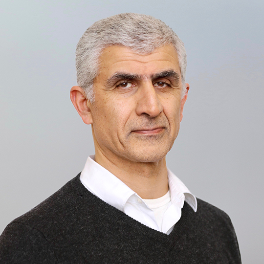 Hossein Sadeghpour
