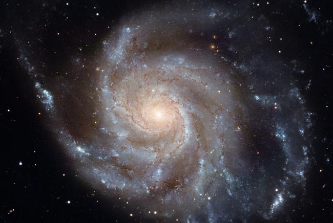 Hubble Space Telescope image of the spiral galaxy M101