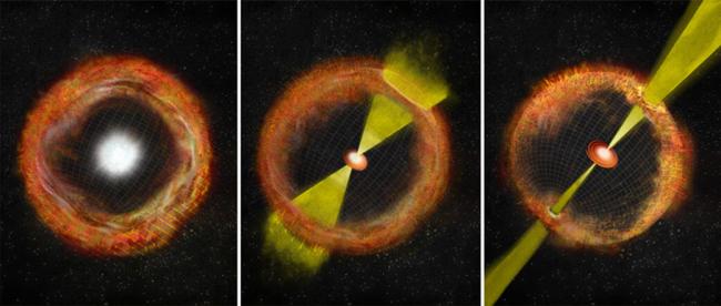 artist's impressions of three different types of supernova
