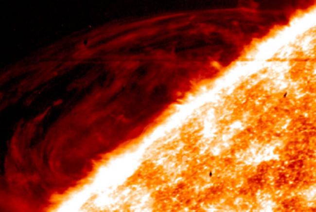 IRIS image of prominences on the Sun