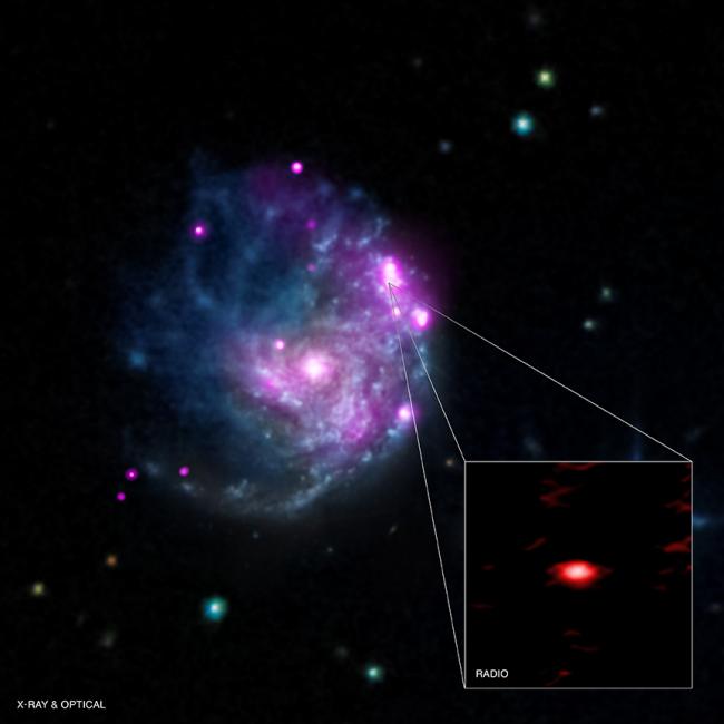 Chandra Finds Intriguing Member of Black Hole Family Tree