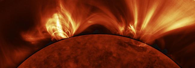 Stellar Winds