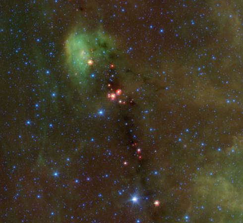 Stellar Embryos
