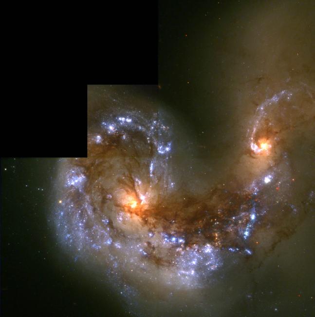 Black Holes and Star Formation