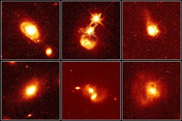 The Most Massive Galaxies in the Universe