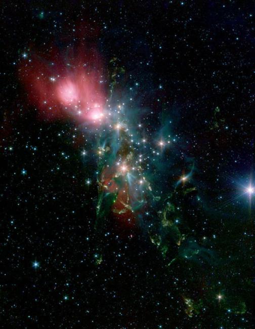 Shocking News about Dust Grains