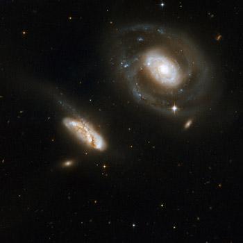 The Spins of Black Holes in Galactic Nuclei