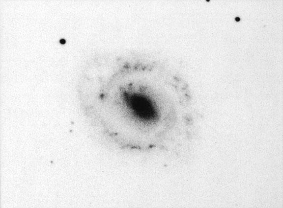 Diagnosing the X-Ray Variability of a Galaxy's Nucleus
