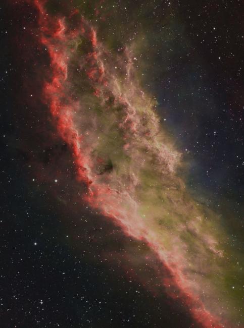 A New Look at Star Formation in Molecular Clouds