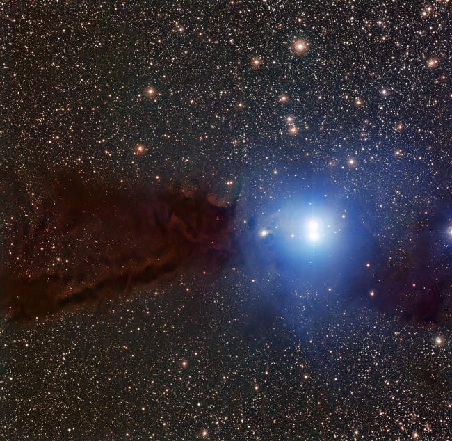 Transition Disks Around Young Stars