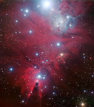 Sonograms of Young Stars
