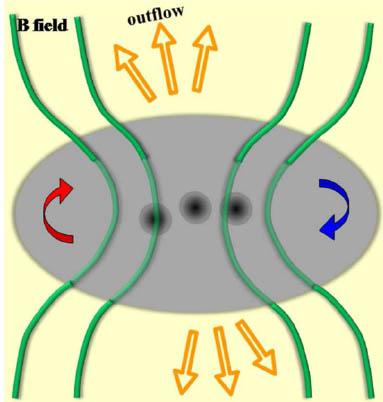 The Role of Magnetic Fields in Star Formation
