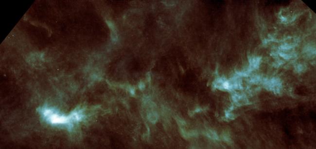Embryos of Stars