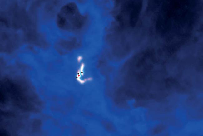 Quadruplets in a Stellar Womb
