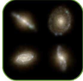 The Evolving Population of Black Holes