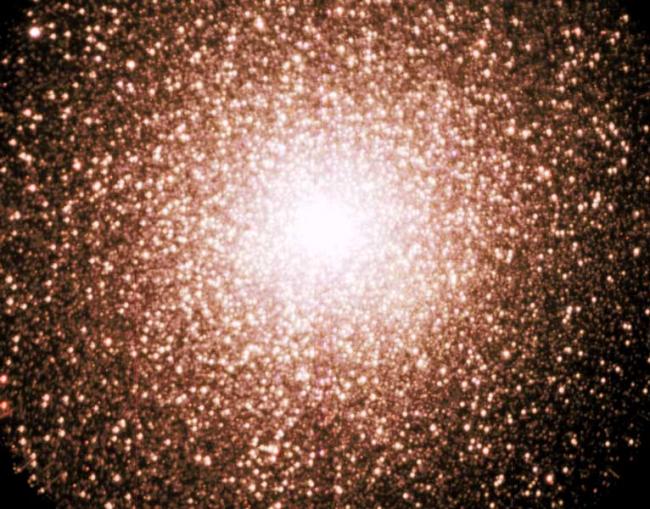 Discovery of the Companions of Millisecond Pulsars