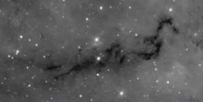 The Skeleton of the Milky Way