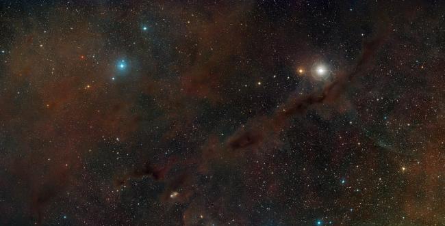 Constraining the Chemistry of Carbon-Chain Molecules in Space