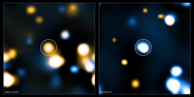 Obscured Supermassive Black Holes in Galaxies