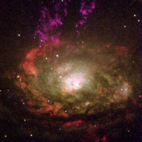  The Geometry of Nuclear Black Hole Accretion Disks