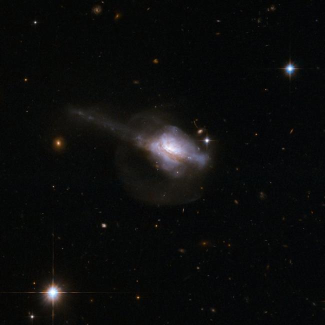 Active Galactic Nuclei and Star Formation