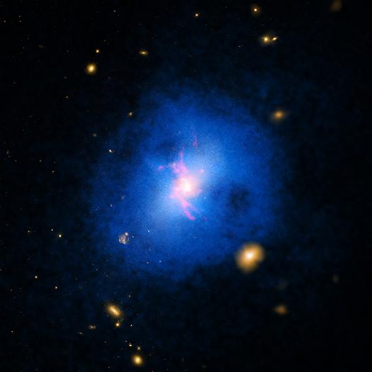 A Galaxy-scale Fountain of Cold Molecular Gas Pumped by a Black Hole