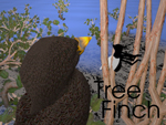 Tree Finch